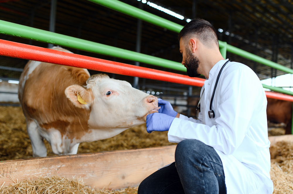 How to Find Agriculture Recruiters in Kansas City: The Pursell Group