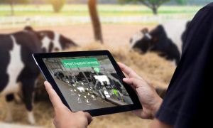 Animal Ag Tech Recruiters in Tulsa