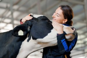 Best Houston Animal Ag Tech Recruiters