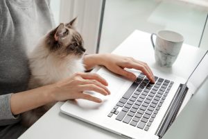 Best Kansas City Pet Technology Recruiters