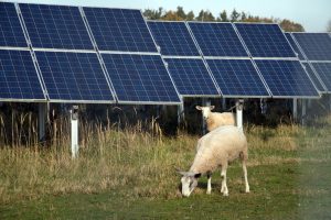 Best Tulsa Animal Ag Tech Recruiters