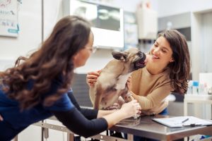 Best Tulsa Animal Health Recruiters