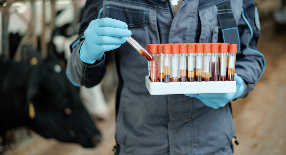 Best Tulsa Diagnostics Recruiters: The Pursell Group Search Firm