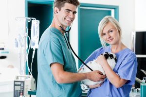 Best Tulsa Pet Technology Recruiters