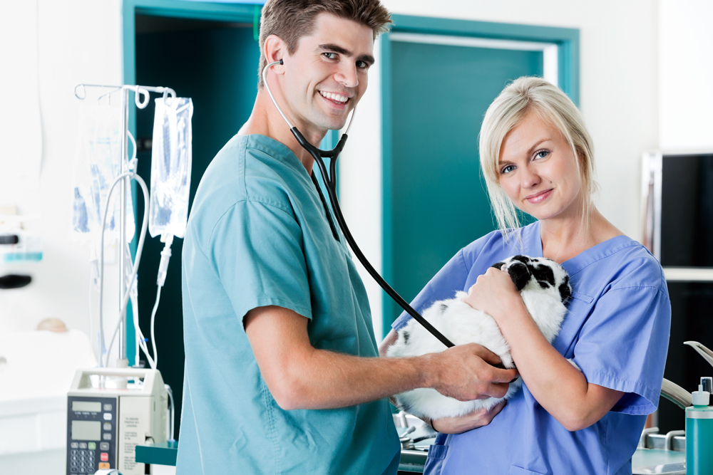 Best Tulsa Pet Technology Recruiters: The Pursell Group