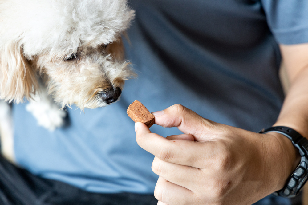 How to Find Houston Animal Nutrition Recruiters: The Pursell Group
