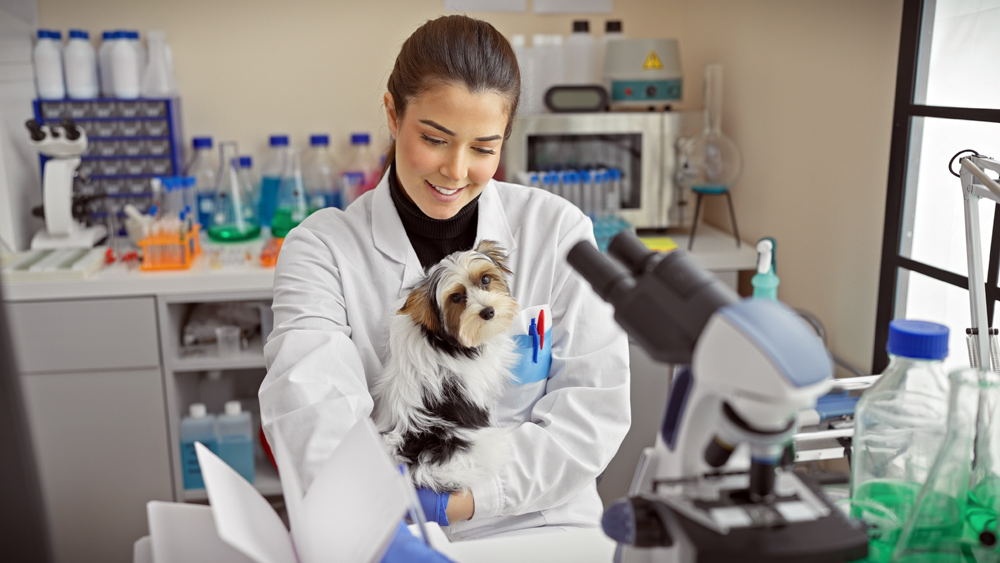 How to Find Houston Biotechnology Recruiters: The Pursell Group