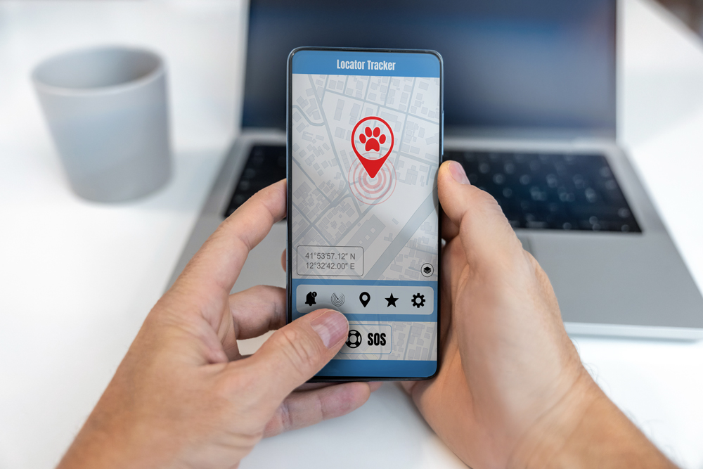 How to Find Houston Pet Technology Recruiters: The Pursell Group