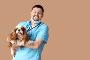 Houston Veterinarian Recruiters
