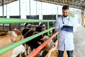 Oklahoma City Animal Ag Tech Recruiters