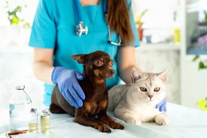 Oklahoma City Animal Health Recruiters