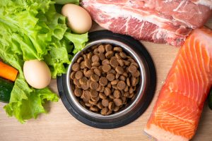 Tulsa Pet Food Recruiters