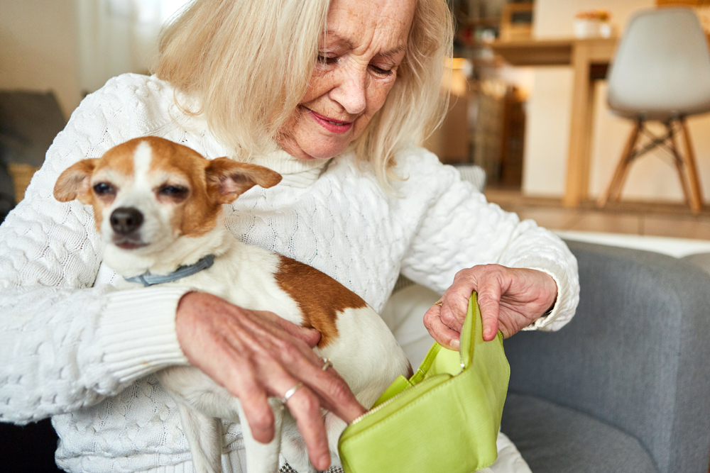 How to Find Tulsa Pet Specialty Recruiters: The Pursell Group