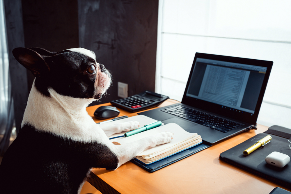 How to Find the Best Tulsa Pet Technology Recruiters