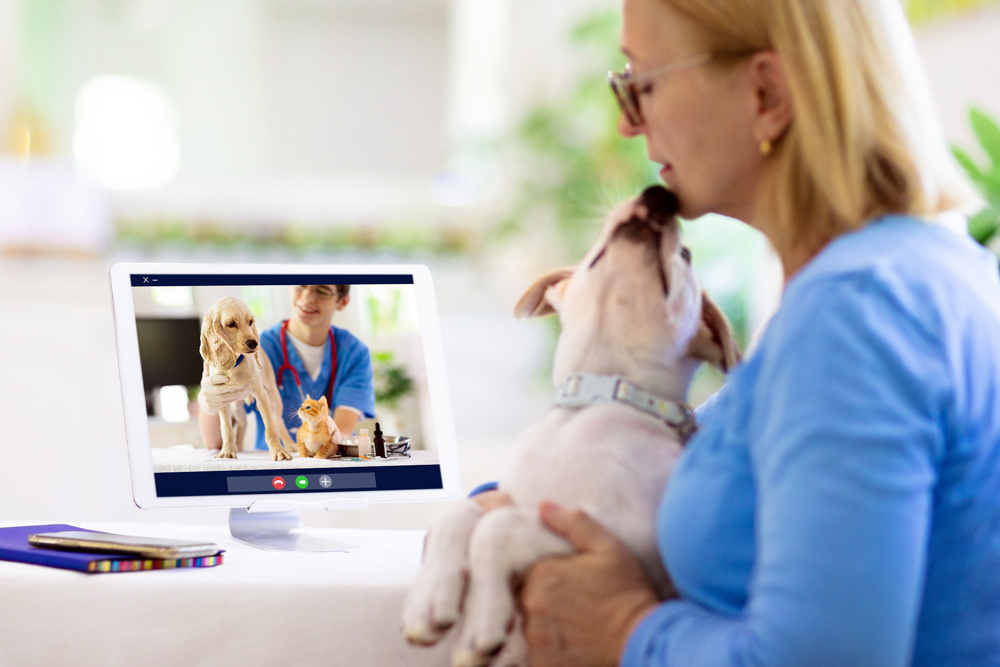 How to Find the Best Tulsa Veterinary Telemedicine Recruiters