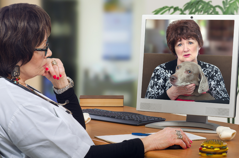 How to Find the Best Veterinary Telemedicine Recruiters in Tulsa