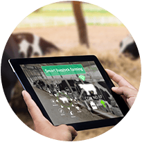 Icon Animal Ag Tech