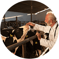 Icon Animal Health