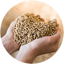 Icon Animal Nutrition
