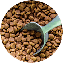 Icon Pet Food