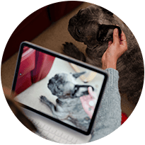 Icon Telemedicine